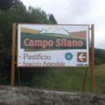 Servizi